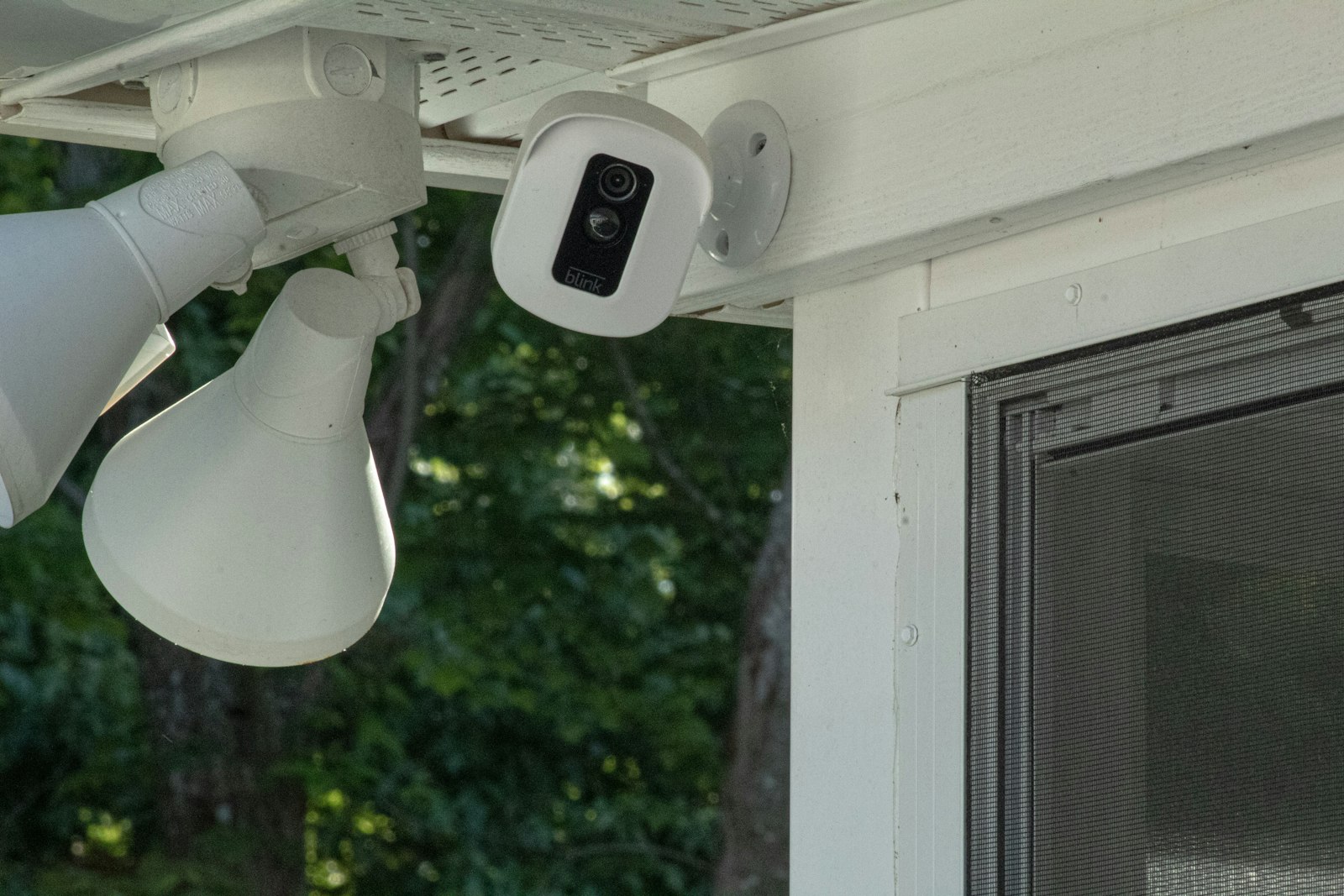 Building security camera and lighting system
